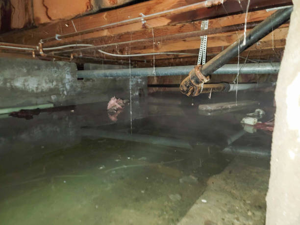Best 24/7 water damage repair  in Kayenta, AZ
