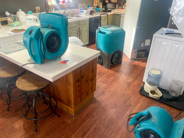 Best Residential water damage restoration  in Kayenta, AZ