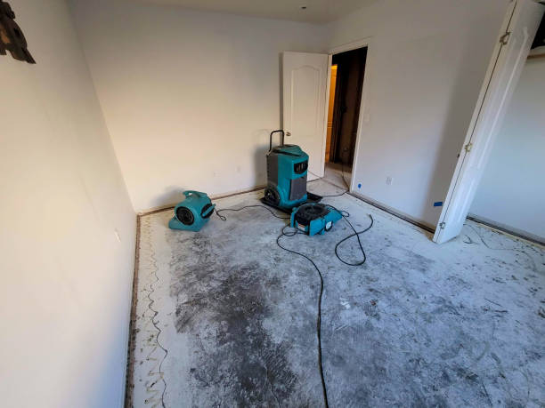 Water damage restoration mold remediation in Kayenta, AZ
