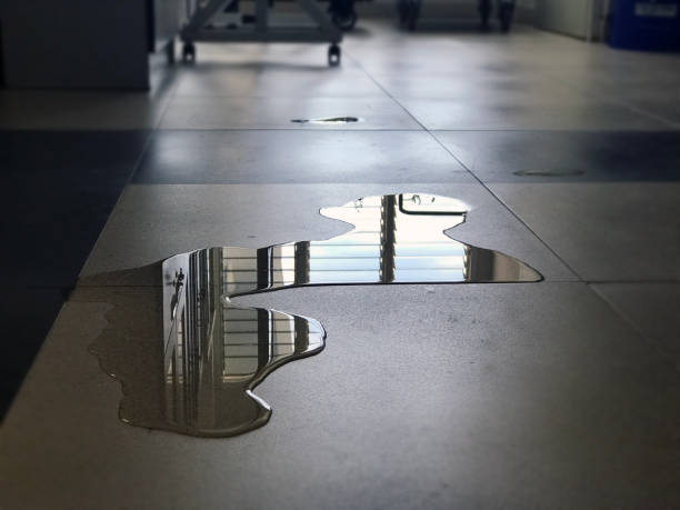 Best 24-hour water damage restoration  in Kayenta, AZ