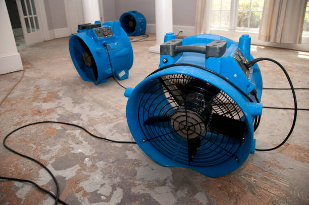 Best Sewage cleanup and water damage restoration  in Kayenta, AZ