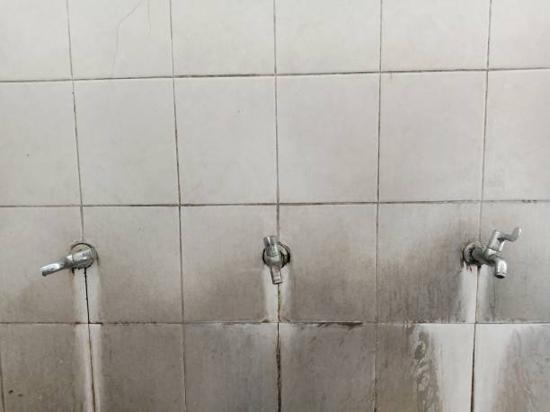 Best Professional water damage repair  in Kayenta, AZ