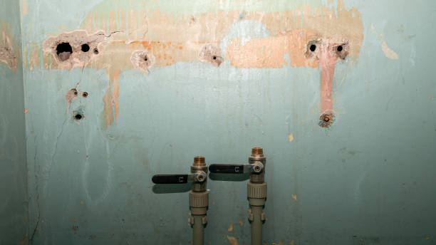 Best Water damage cleanup near me  in Kayenta, AZ