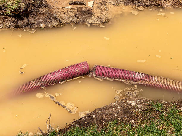 Water damage restoration experts in Kayenta, AZ