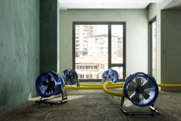 Best Water damage restoration near me  in Kayenta, AZ