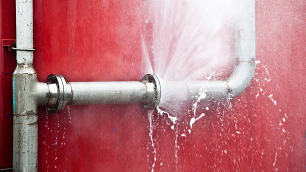 Reliable Kayenta, AZ Water damage restoration Solutions